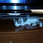 Tabatha Baldwin - Instagram Profile Picture of Tabatha Baldwin (@tabathabaldwin) on Instagram