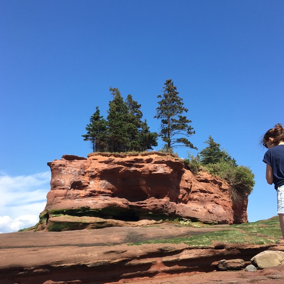 Profile Picture of Nitcha Kalerante-agelakos (@nitchak) on Poshmark