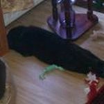 Profile Picture of Jerry Åkerman (@jerqqu69) on Instagram