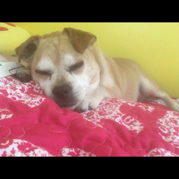 Profile Picture of Brianna Beesmer (@bribeesmer) on Poshmark