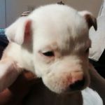 Delayna Richardson - Instagram Profile Picture of Delayna Richardson (@delaynarichardson) on Instagram