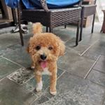 Profile Picture of Matthew Goh (@its_matt_ew) on Instagram