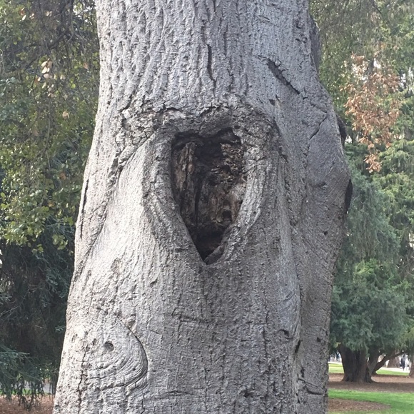 Profile Picture of Eileen Keller (@emkeller10) on Poshmark