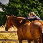 Profile Picture of joanne_gillett (@joanne_gillett) on Instagram