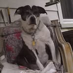 Profile Picture of Robert Zelasko (@Robert-Zelasko) on Facebook