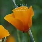 Profile Picture of Robin Wooley (@wooleysnakeeyes62) on Instagram