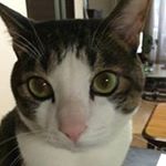 Profile Picture of Mitsuko Matsuda (@mitsuko.matsuda) on Instagram