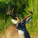 Profile Picture of brandon saxton (@brandonsaxton196) on Instagram