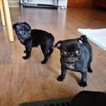 Profile Picture of ralph.stanley.20 (@ralph.stanley.20) on Instagram