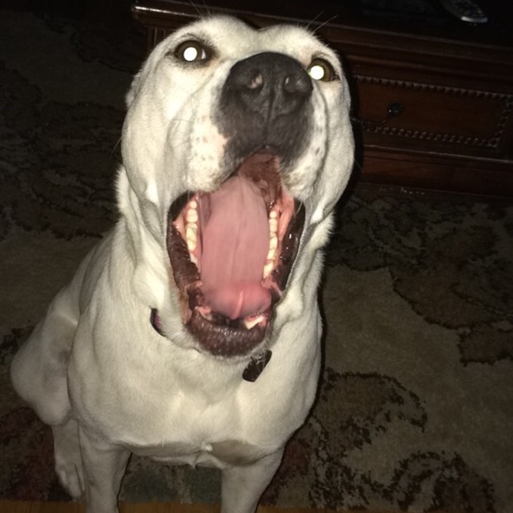 Profile Picture of Rebecca Schneider (@rms5) on Poshmark