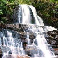 Profile Picture of Cassie Read (@cassie-read-4) on Quora