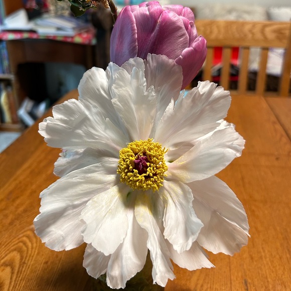 Profile Picture of Dolee Dolee (@doleedolee) on Poshmark