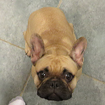 Profile Picture of Joseph Russo (@olivendino) on Flickr