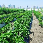 Profile Picture of Trent, Carlos, David (@f00df0rtheh00d) on Instagram