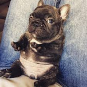 Profile Picture of Julio Quinto (@julioquinto1024) on Youtube