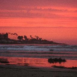 Profile Picture of Shannon Mulvihill (@SMULVI1) on Twitter