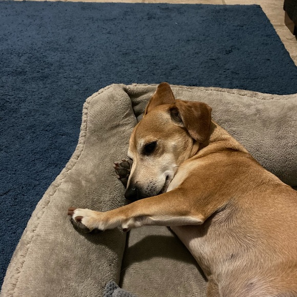 Profile Picture of Sterling C (@gashum3) on Poshmark