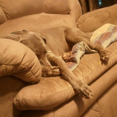 Profile Picture of Tracy Wyrick (@gramee) on Twitter