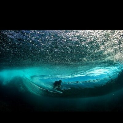 Profile Picture of David Carnell (@carnell_david) on Twitter