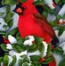 Profile Picture of Susan Leonard (@susan.leonard.1023) on Facebook