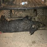 Profile Picture of Kadin Ray Finley (@kadin_finley) on Instagram