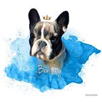 Profile Picture of Bentley 🐶 (@frallanbentley) on Instagram