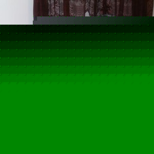 Trina Garrett - Myspace Profile Picture of Trina Garrett (@latrina111) on Myspace