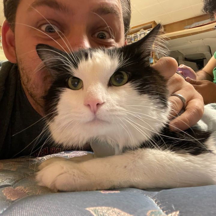 Profile Picture of Thomas Milschewski (@milschewskii) on Tiktok