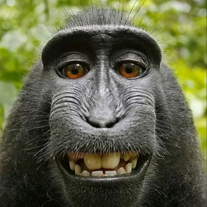 Profile Picture of Adam beben (@adam_beben) on Tiktok