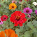 eddie wolff - Instagram Profile Picture of eddie wolff (@kidkering) on Instagram