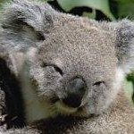 Profile Picture of Paul Ernest Tong (@paulernesttong) on Instagram