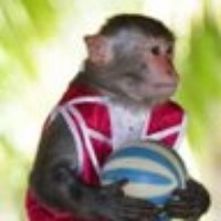 Profile Picture of Lloyd Davidson (@lloyd-davidson-1) on Quora