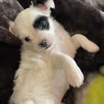 Profile Picture of Alexia Pickens (@alexia.pickens.2025) on Facebook