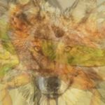 Profile Picture of tony ruberto mazzarella (@tonyfw99) on Instagram