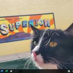 Profile Picture of Dorraine Monnett (@dorraine.monnett) on Instagram