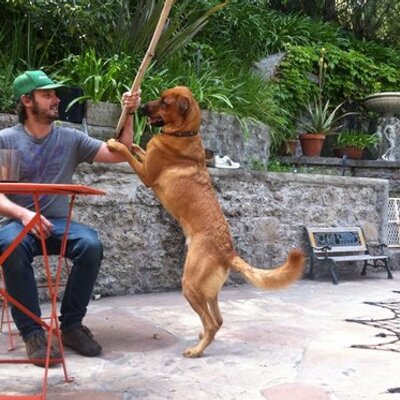 Profile Picture of Lawrence Nichols (@unclejaro) on Twitter