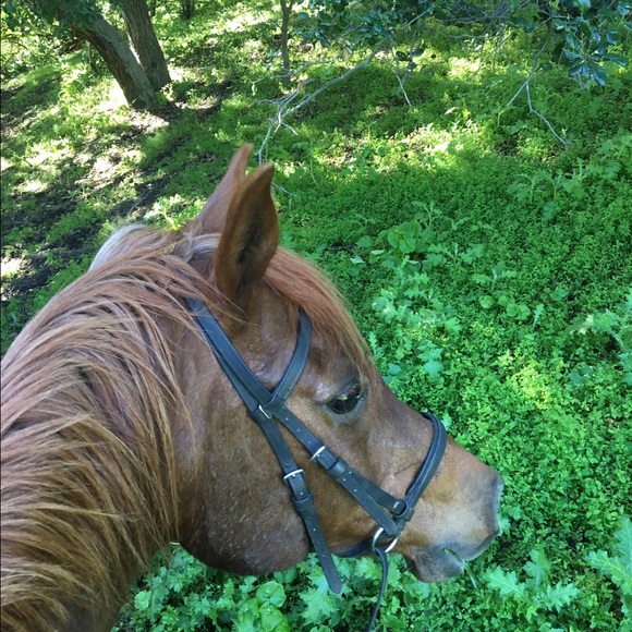 Micaela Musante - Poshmark Profile Picture of Micaela Musante (@mgmmam) on Poshmark