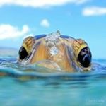Profile Picture of Steven Coppock (@stevecoppock1) on Instagram