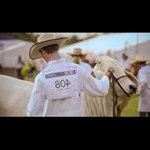 Darcy Mortimer - Instagram Profile Picture of Darcy Mortimer (@darcy_mortimer) on Instagram