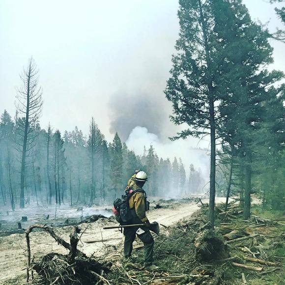 Kris Griessmann - Poshmark Profile Picture of Kris Griessmann (@krizzgmann) on Poshmark