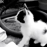 Profile Picture of Kara_peters_2009 (@kara_peters_2009) on Instagram