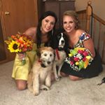 Val Bauer - Instagram Profile Picture of Val Bauer (@bauerval) on Instagram