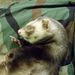 Profile Picture of Joseph Haase (@moJ03) on Pinterest