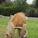 Profile Picture of Armand Perrier (@armand.perrier.5) on Facebook