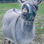 Profile Picture of Keith Colonel (@keithcolonel) on Instagram