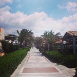 Profile Picture of James Hopson (@vallogyll) on Instagram