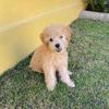 Profile Picture of leo dior 💕 (@@leodiorrr) on Tiktok