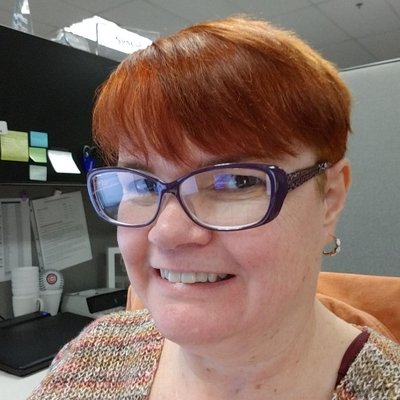 Profile Picture of Susan Ford (@Susinok) on Twitter