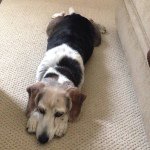 Profile Picture of Jenna Hardin (@jennaaha) on Instagram