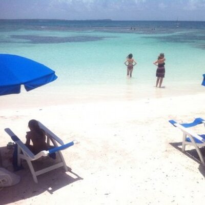 Profile Picture of Peter Abela (@PuntingPete) on Twitter